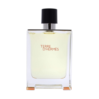 Hermès Terre d’Hermès Eau de Toilette 100 ml Flakon
